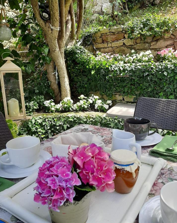 Villa Sul Lago Con Pontile Privato A Brenzone Sul Garda - Unique And Exclusive Экстерьер фото
